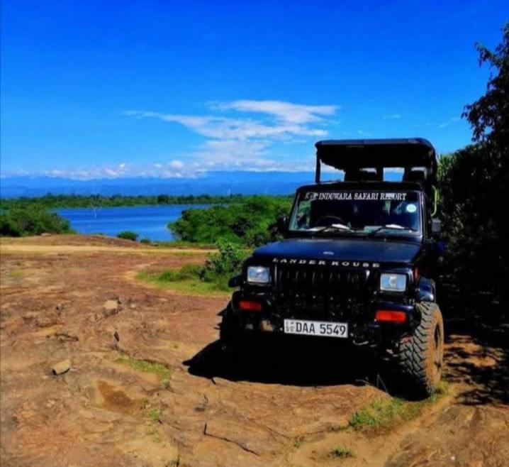 Induwara Safari Resort 达瓦拉维 外观 照片