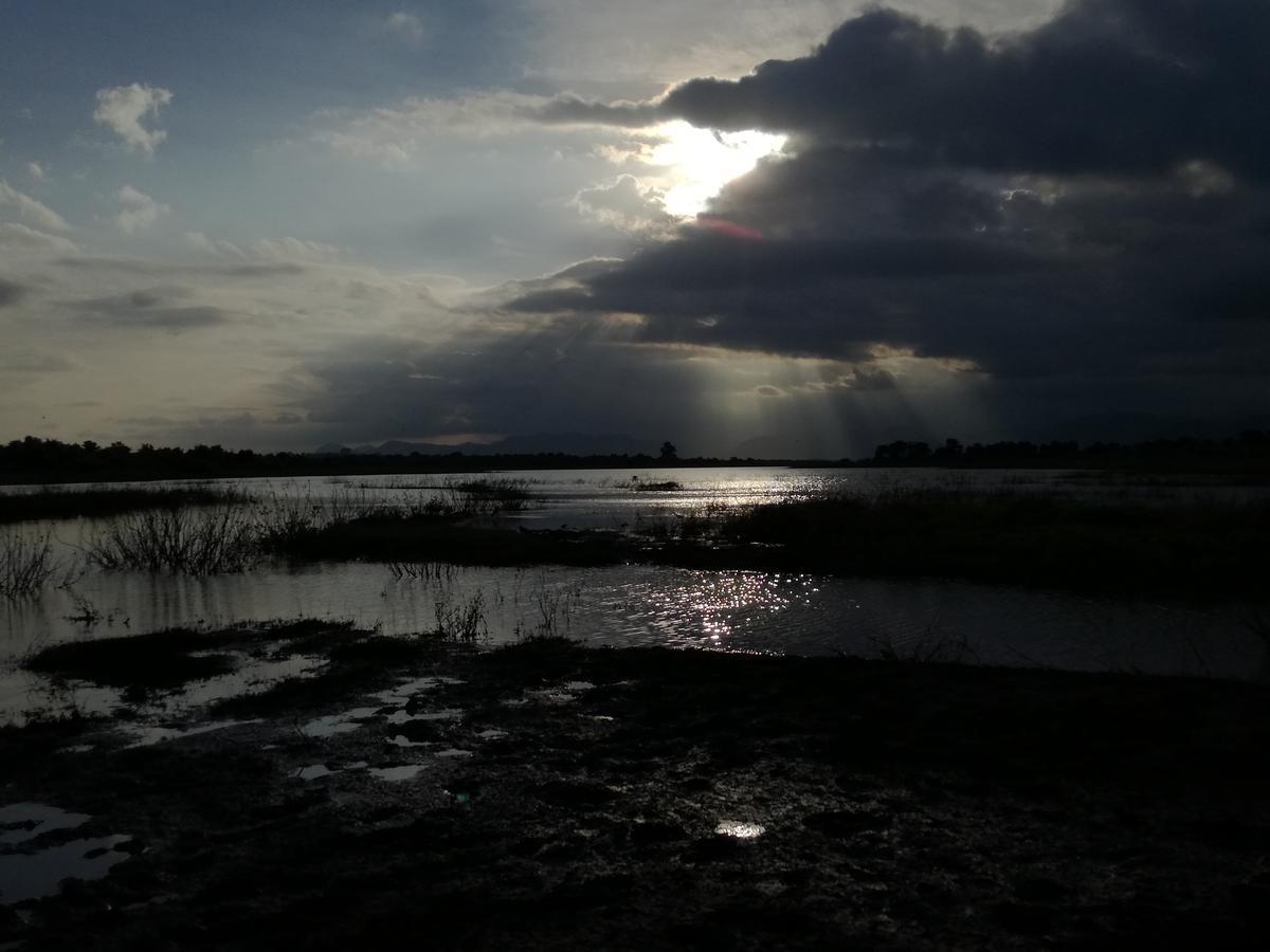 Induwara Safari Resort 达瓦拉维 外观 照片