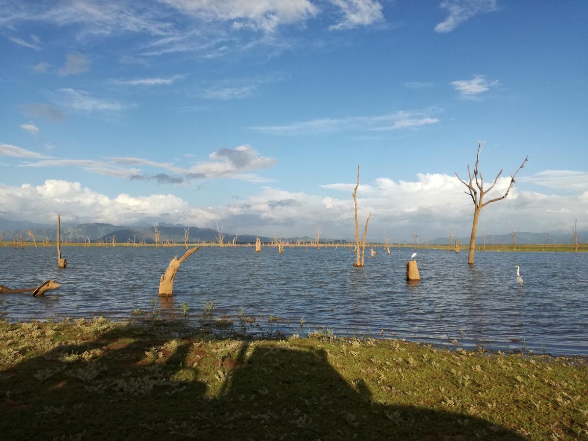 Induwara Safari Resort 达瓦拉维 外观 照片