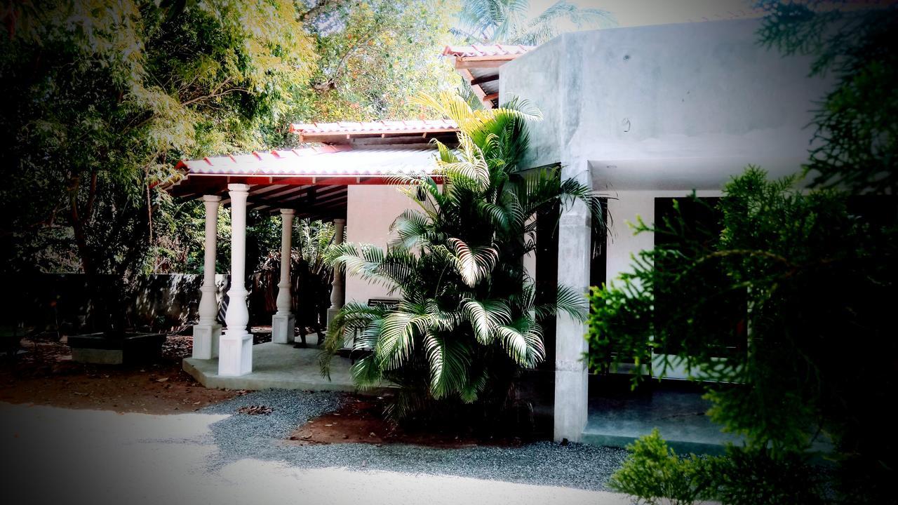 Induwara Safari Resort 达瓦拉维 外观 照片